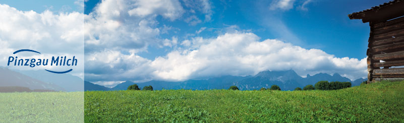 Pinzgau Milch Produktions GmbH - Location