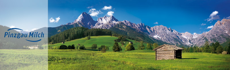 Pinzgau Milch Produktions GmbH - Partner