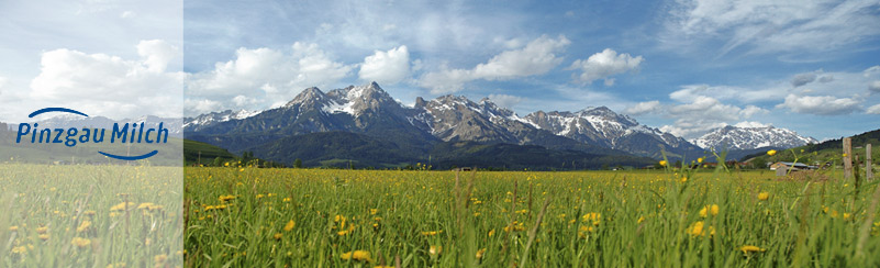 Pinzgau Milch Produktions GmbH - Bio Landwirtschaft