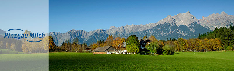 Pinzgau Milch Produktions GmbH - Geschichte